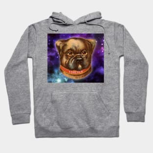 FOREVER DOG V4 Hoodie